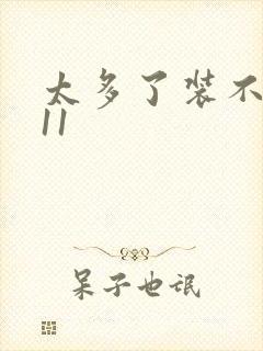 太多了装不下H11