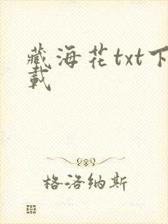 藏海花txt下载