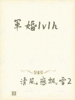 军婚1v1h