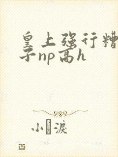 皇上强行糟蹋太子np高h