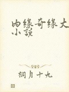 内缘奇缘大团圆小说