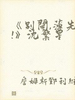 《别闹,薄先生!》沈繁星