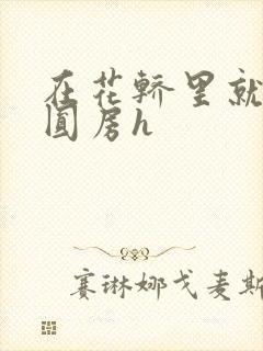 在花轿里就开始圆房h