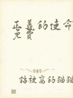 正义的使命全文免费