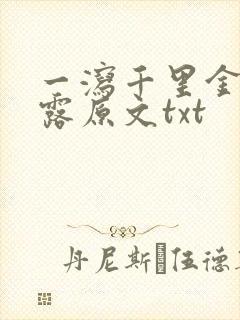 一泻千里金银花露原文txt