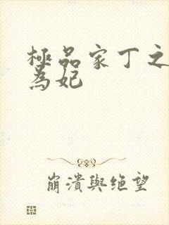 极品家丁之册母为妃