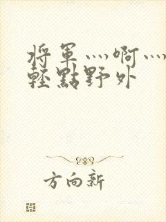 将军灬啊灬啊灬轻点野外