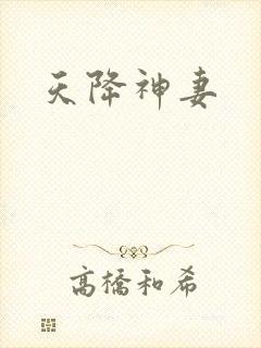 天降神妻