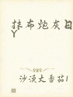 抹布炮灰日记BY