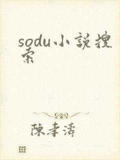sodu小说搜索