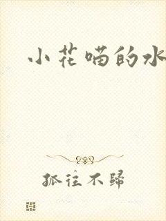 小花喵的水蜜桃