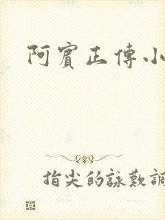 阿宾正传小说