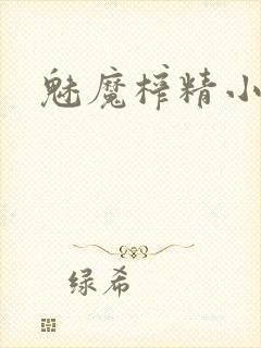 魅魔榨精小说