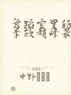 舞蹈室里的景色李欣赵峰最新章节