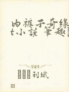 内裤子奇缘txt小说 笔趣阁