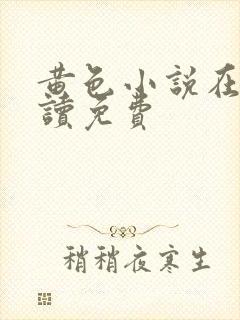 黄色小说在线阅读免费