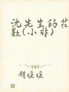 沈先生的花式调数(小非)