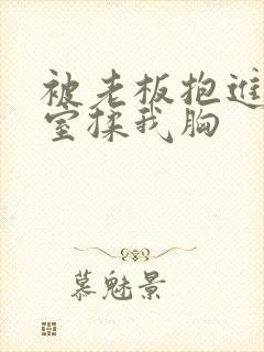 被老板抱进办公室揉我胸