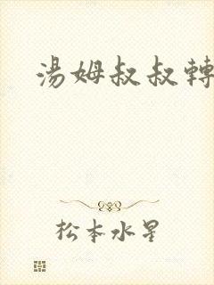 汤姆叔叔转接口