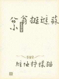 公翁挺进苏玥的小泬