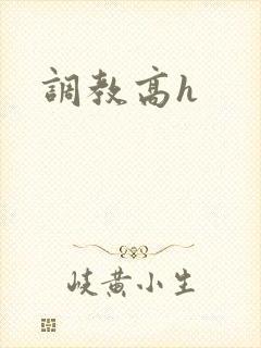 调教高h