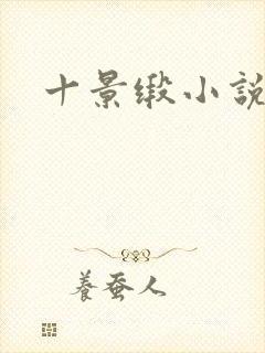 十景缎小说
