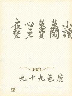 夜心万万小说完整免费阅读全文