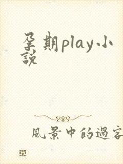 孕期play小说