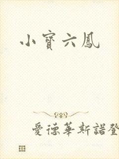 小宝六凤