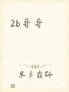 2b哥哥