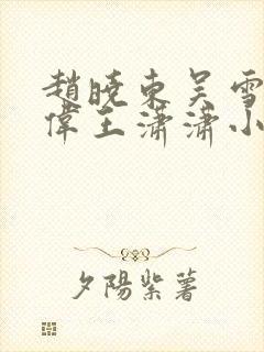 赵晓东吴雪晴郑伟王潇潇小说名字