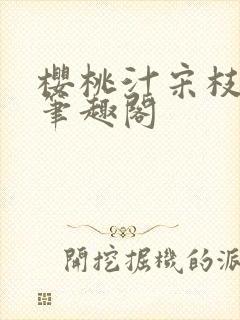 樱桃汁宋枝江野笔趣阁