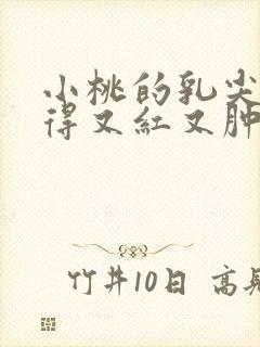 小桃的乳尖被吸得又红又肿