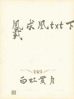 凤求凰txt下载