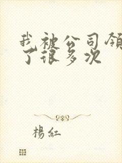 我被公司领导C了很多次