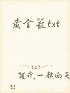 黄金笼txt