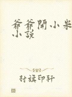 爷爷开小米的包小说