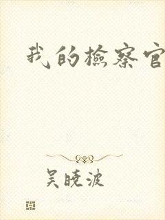 我的检察官先生