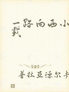 一路向西小说下载