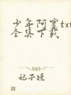 少年阿宾txt全集下载