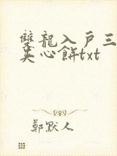 双龙入户三人行夹心饼txt