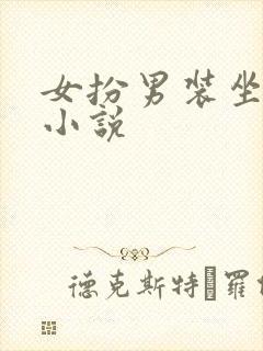 女扮男装坐江山小说