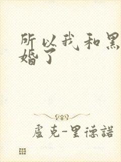 所以我和黑粉结婚了