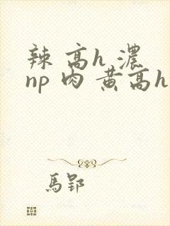 辣 高h 浓 np 肉 黄高h