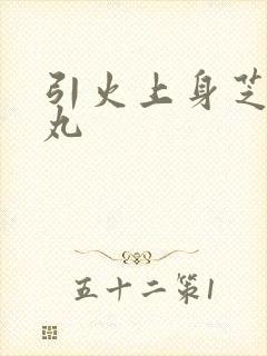 引火上身芝麻糖丸