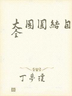 大团圆结目录大全