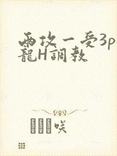 两攻一受3p双龙H调教