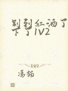 别到红酒了装不下了1V2