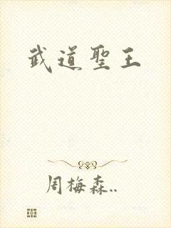 武道圣王