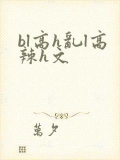 bl高h乱l高辣h文